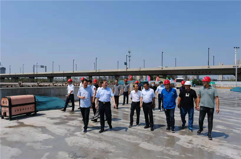 ֣ίʷѧϰѲָ鵽Ͷŵָ